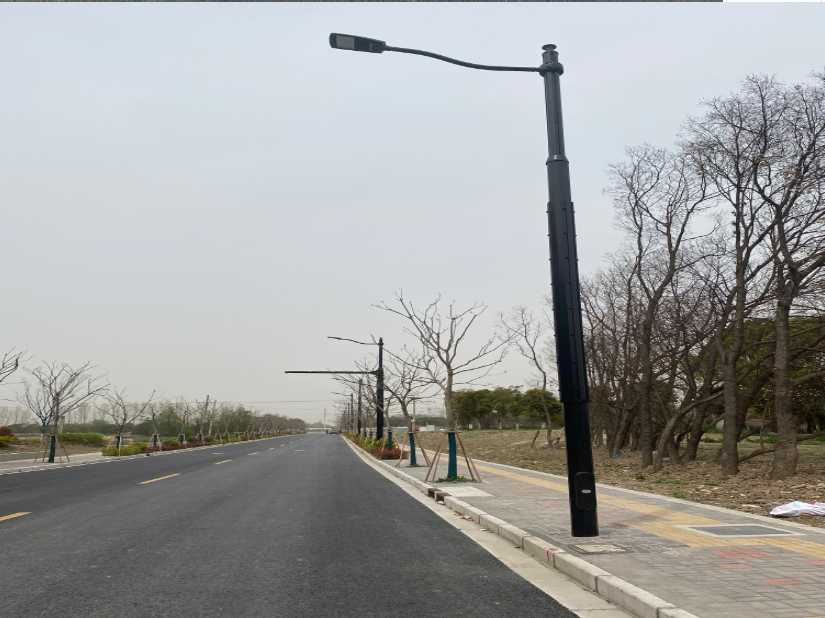 柘荣县上海综合杆 太阳能路灯工程